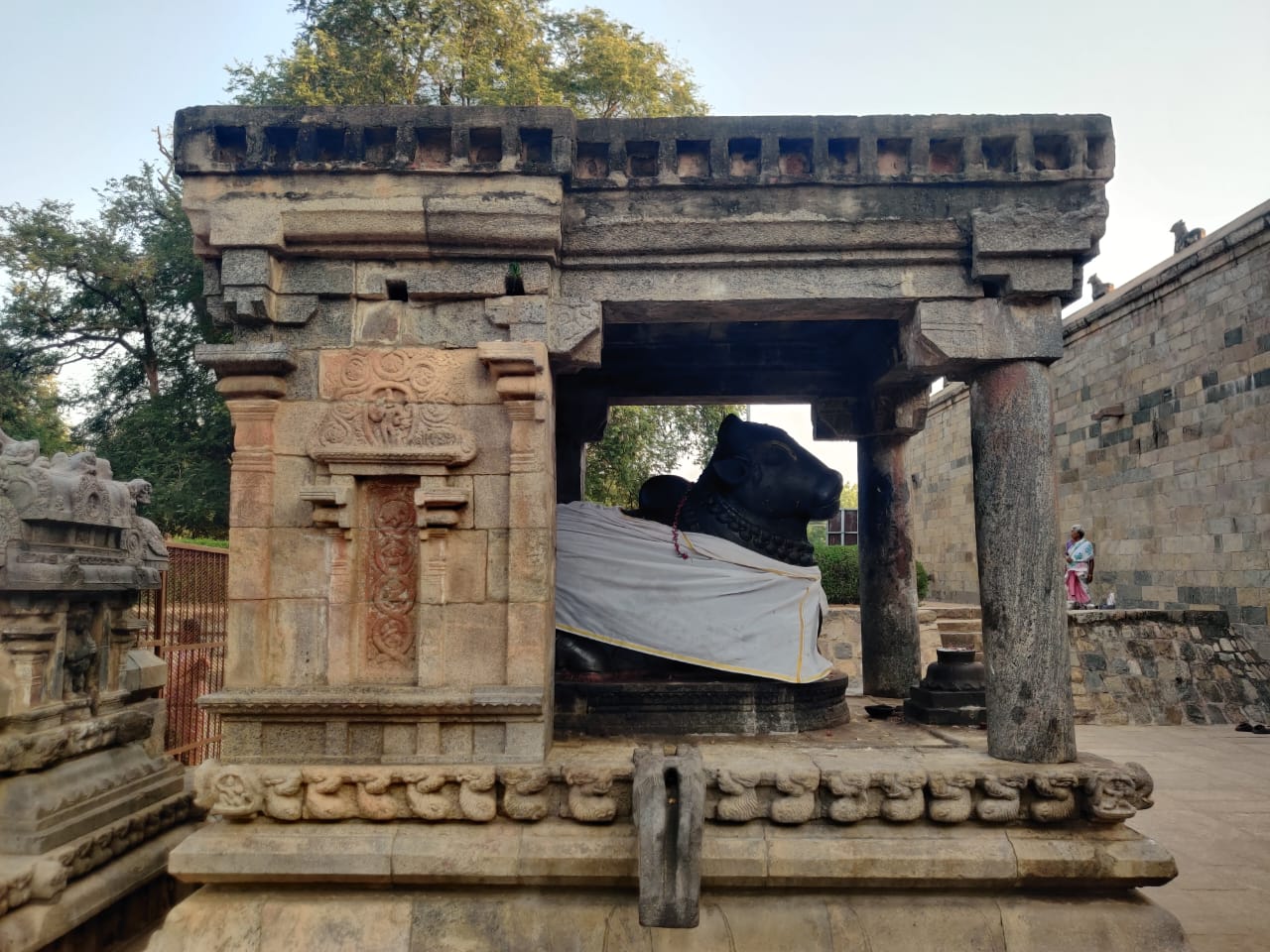 WhatsApp Image 2025-05-21 at 00.08.46 (3)