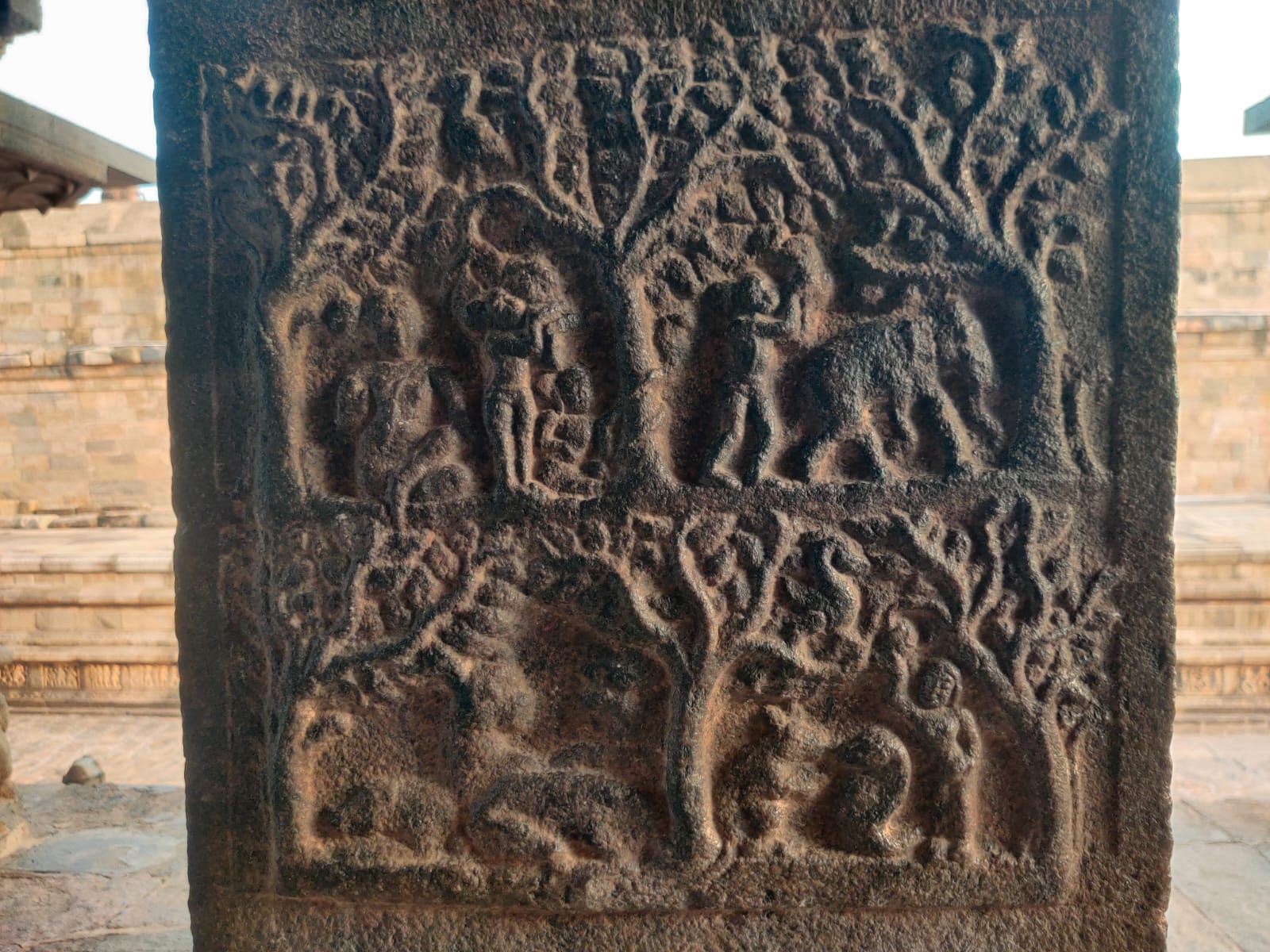 WhatsApp Image 2025-05-21 at 00.08.47 (1)