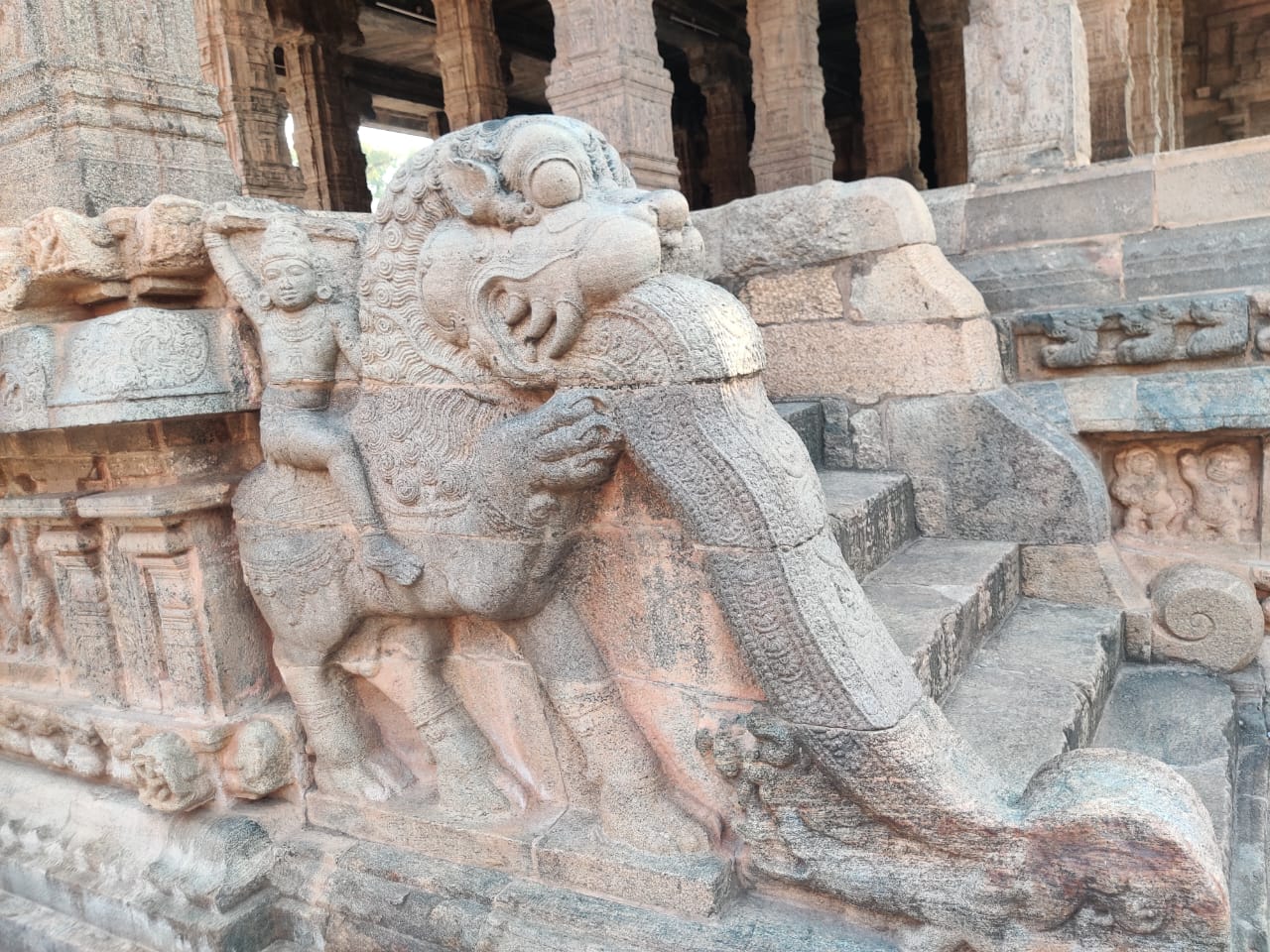 WhatsApp Image 2025-05-21 at 00.08.47 (4)