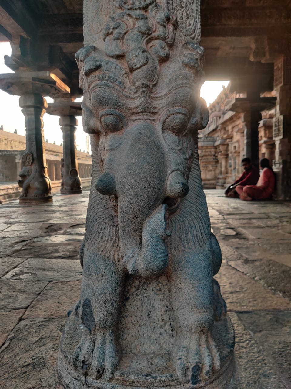 WhatsApp Image 2025-05-21 at 00.08.49