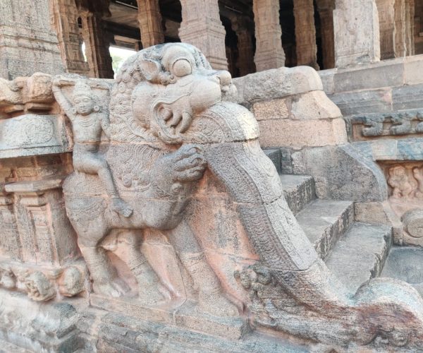 WhatsApp Image 2025-06-06 at 21.36.00