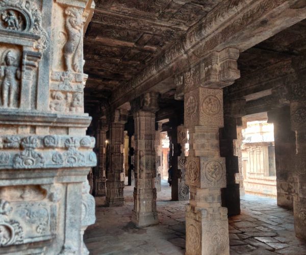 WhatsApp Image 2025-06-06 at 21.36.01