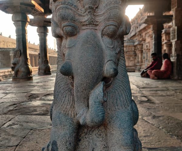 WhatsApp Image 2025-06-06 at 21.36.01(1)